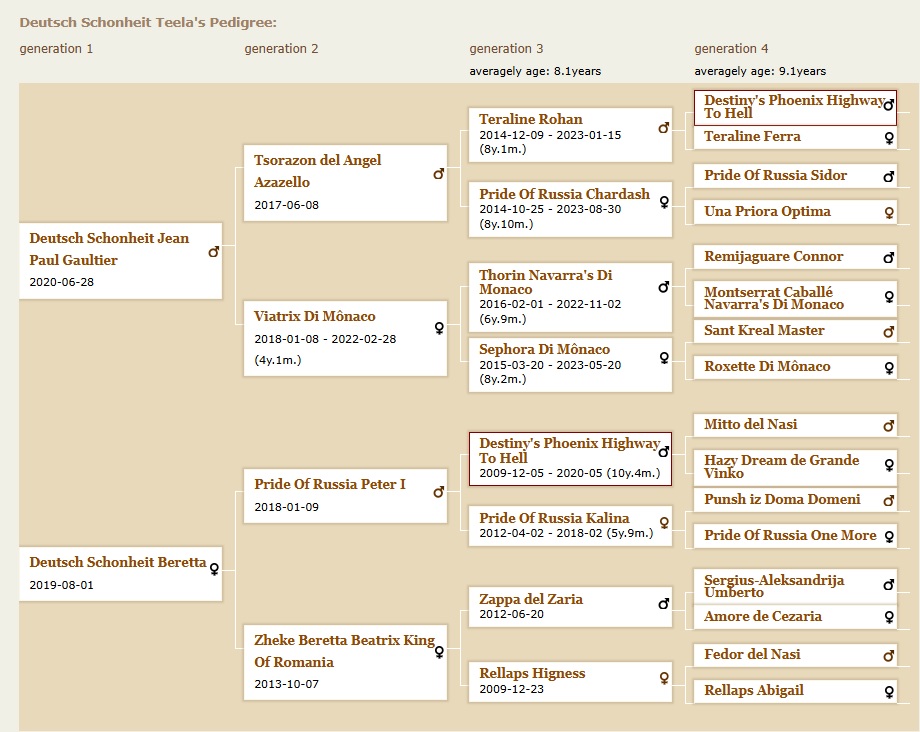 pedigree-dobermann-teela