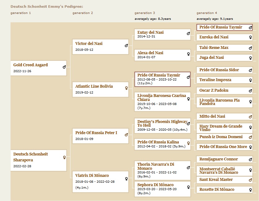pedigree-doberman-emmy