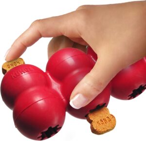 kong quatro pincas 1