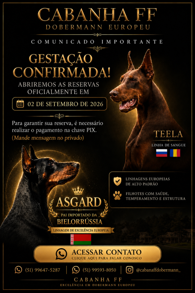 filhotes-de-doberman-venda